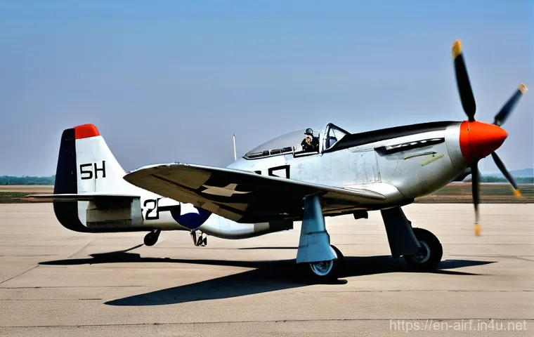 한국 공군 전투기 역사 - "From Scraps to Skies: Early ROKAF F-51 Mustang"**

"A historically accurate, highly detailed, and r...