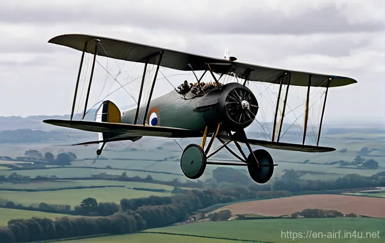 세계 공군 창설 비교 - **Early Aviation Reconnaissance Patrol**: A vintage 1910s biplane, such as a sturdy French Voisin or...